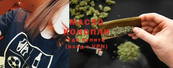 шишки Арсеньев
