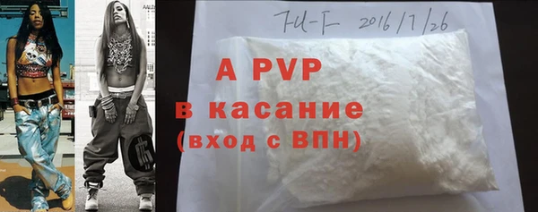 шишки Арсеньев