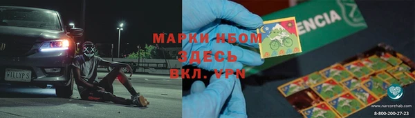 шишки Арсеньев