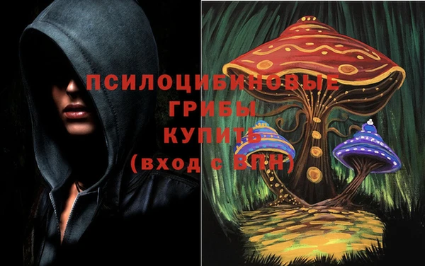шишки Арсеньев