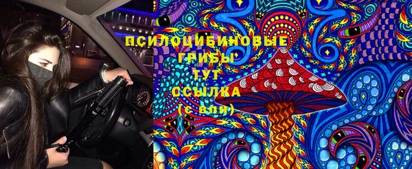 шишки Арсеньев