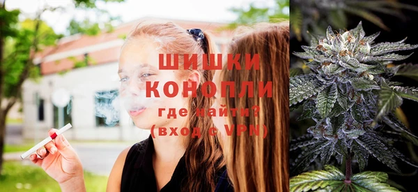 шишки Арсеньев