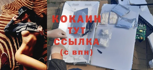 шишки Арсеньев