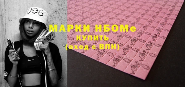 шишки Арсеньев