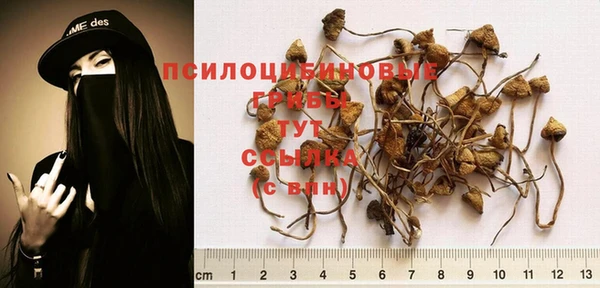 мескалин Армянск