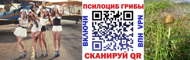 Псилоцибиновые грибы мухоморы  закладка  Тара 